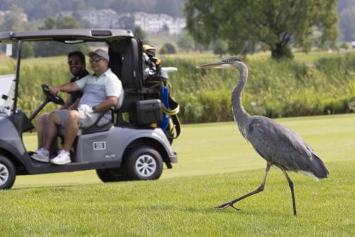 MCBAC GolfTournament2024 123